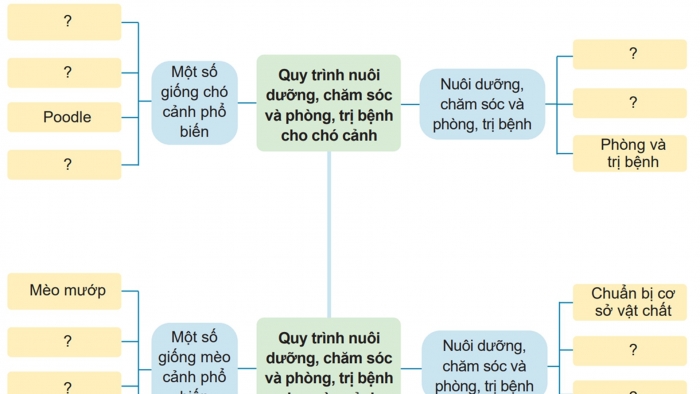 Giáo án điện tử chuyên đề Công nghệ chăn nuôi 11 cánh diều Ôn tập CĐ 2