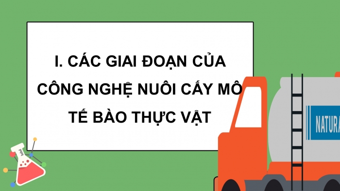 Giáo án điện tử chuyên đề Sinh học 10 cánh diều Bài 3: Các giai đoạn của công nghệ tế bào thực vật