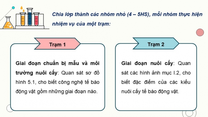 Giáo án điện tử chuyên đề Sinh học 10 cánh diều Bài 5: Các giai đoạn của công nghệ tế bào động vật