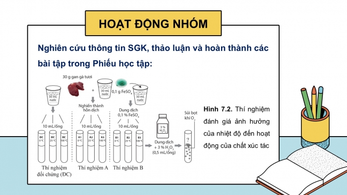 Giáo án điện tử chuyên đề Sinh học 10 cánh diều Bài 7: Cơ sở khoa học và một số thành tựu của công nghệ enzyme