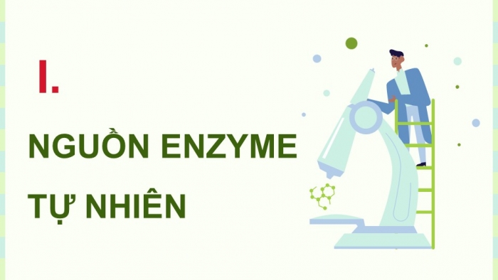 Giáo án điện tử chuyên đề Sinh học 10 cánh diều Bài 8: Sản xuất enzyme tự nhiên