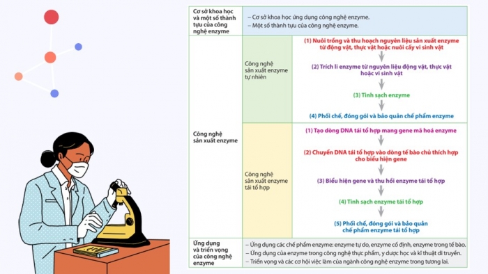 Giáo án điện tử chuyên đề Sinh học 10 cánh diều Ôn tập CĐ 2