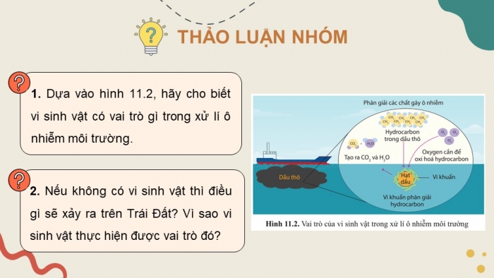 Giáo án điện tử chuyên đề Sinh học 10 cánh diều Bài 11: Khái quát về vi sinh vật trong xử lí ô nhiễm môi trường