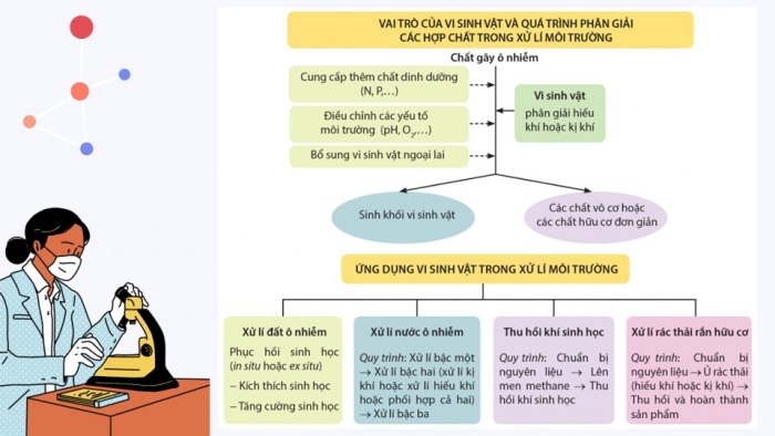 Giáo án điện tử chuyên đề Sinh học 10 cánh diều Ôn tập CĐ 3