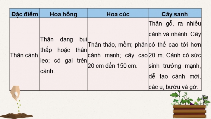 Giáo án điện tử chuyên đề Công nghệ trồng trọt 10 cánh diều Ôn tập CĐ 2