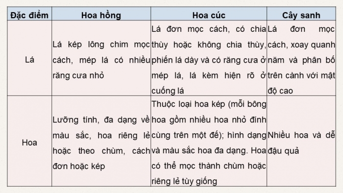 Giáo án điện tử chuyên đề Công nghệ trồng trọt 10 cánh diều Ôn tập CĐ 2