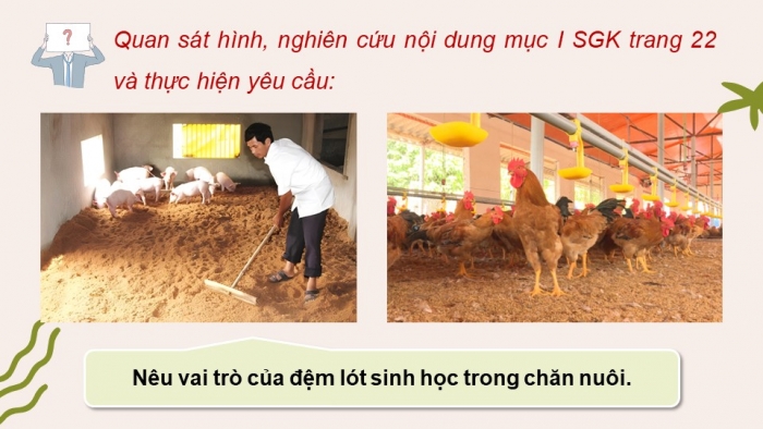 Giáo án điện tử chuyên đề Công nghệ chăn nuôi 11 kết nối Bài 5: Ứng dụng công nghệ sinh học trong sản xuất đệm lót sinh học