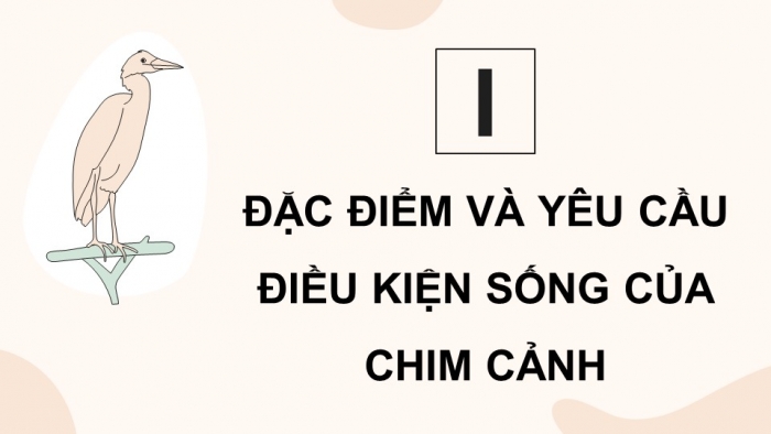 Giáo án điện tử chuyên đề Công nghệ chăn nuôi 11 kết nối Bài 9: Kĩ thuật nuôi dưỡng và chăm sóc chim cảnh