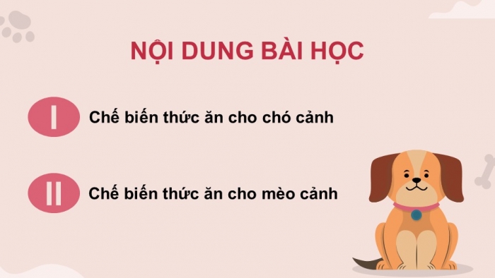 Giáo án điện tử chuyên đề Công nghệ chăn nuôi 11 kết nối Bài 10: Chế biến thức ăn cho động vật cảnh