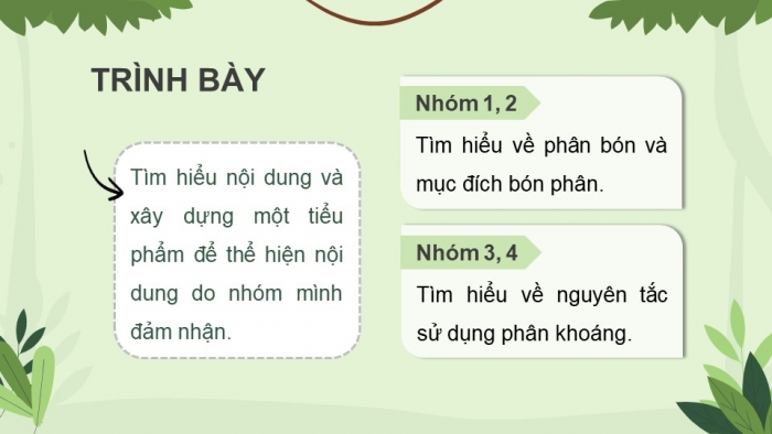 Giáo án điện tử chuyên đề Sinh học 11 chân trời Bài 2: Biện pháp kĩ thuật sử dụng dinh dưỡng khoáng để tăng năng suất cây trồng và tạo nền nông nghiệp sạch