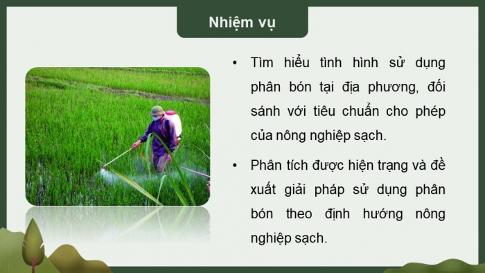 Giáo án điện tử chuyên đề Sinh học 11 chân trời Bài 5: Dự án Điều tra sử dụng phân bón ở địa phương hoặc thực hành Trồng cây với các kĩ thuật bón phân phù hợp