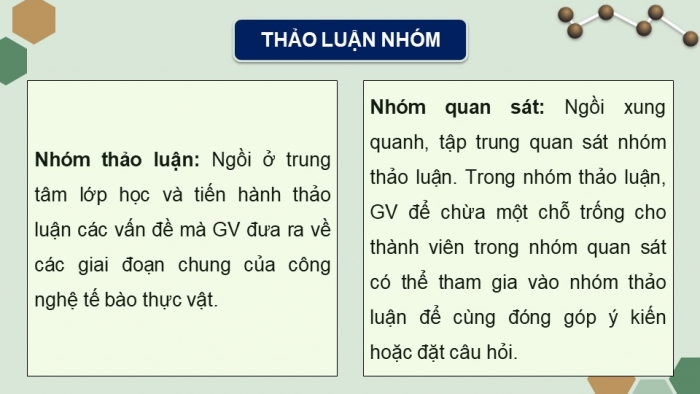 Giáo án powerpoint chuyên đề Sinh học 10 chân trời sáng tạo