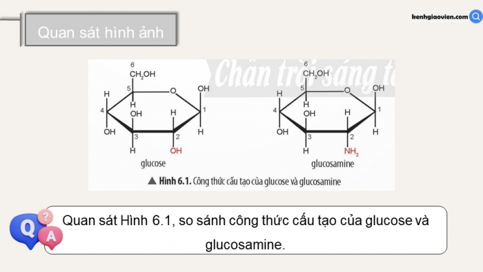 Giáo án điện tử chuyên đề Hoá học 11 cánh diều Bài 6: Điều chế glucosamine hydrochloride từ vỏ tôm