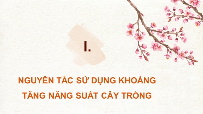 Giáo án điện tử chuyên đề Sinh học 11 cánh diều Bài 1: Nguyên tắc sử dụng khoáng tăng năng suất cây trồng