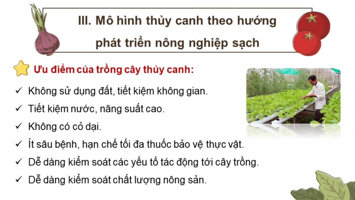 Giáo án điện tử chuyên đề Sinh học 11 cánh diều Bài 2: Nông nghiệp sạch (P2)