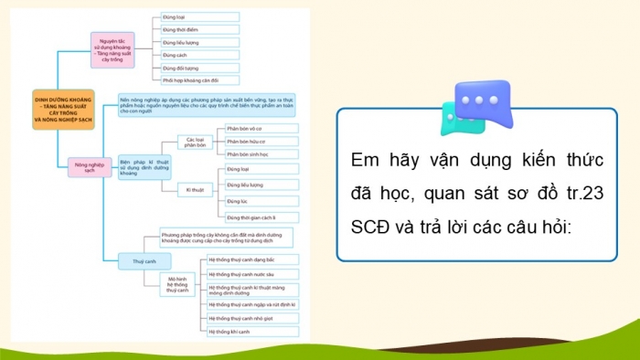 Giáo án điện tử chuyên đề Sinh học 11 cánh diều Ôn tập CĐ 1