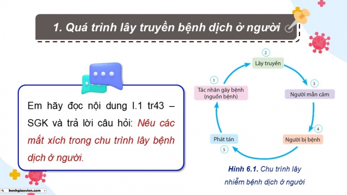 Giáo án điện tử chuyên đề Sinh học 11 cánh diều Bài 6: Các biện pháp phòng chống bệnh dịch ở người