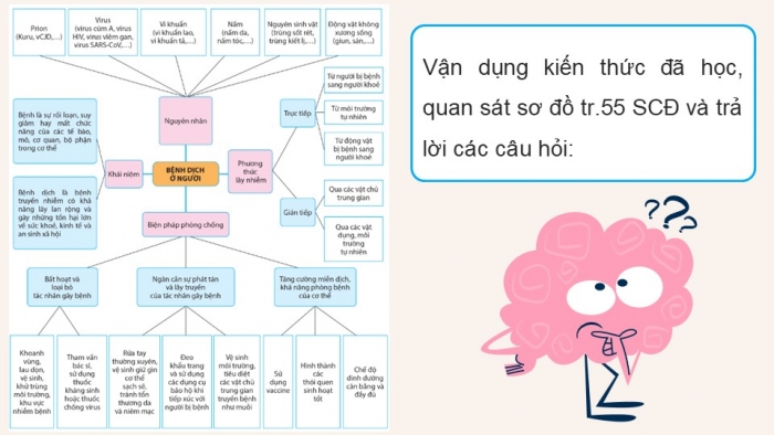 Giáo án điện tử chuyên đề Sinh học 11 cánh diều Ôn tập CĐ 2