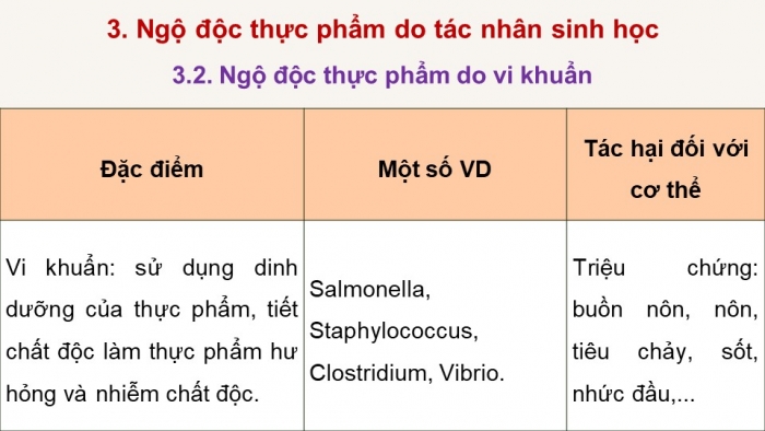 Giáo án điện tử chuyên đề Sinh học 11 cánh diều Bài 8: Vệ sinh an toàn thực phẩm và nguyên nhân gây ngộ độc thực phẩm (P2)