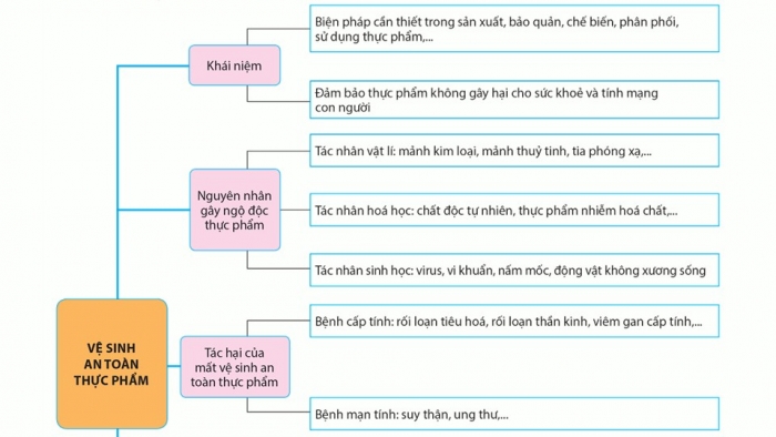 Giáo án điện tử chuyên đề Sinh học 11 cánh diều Ôn tập CĐ 3