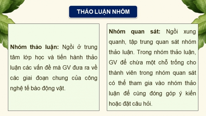 Giáo án điện tử chuyên đề Sinh học 10 chân trời Bài 3: Công nghệ tế bào động vật và thành tựu