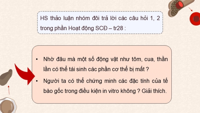 Giáo án điện tử chuyên đề Sinh học 10 chân trời Bài 4: Tế bào gốc và công nghệ tế bào gốc