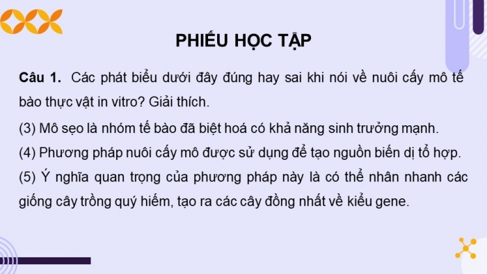 Giáo án điện tử chuyên đề Sinh học 10 chân trời Ôn tập CĐ 1