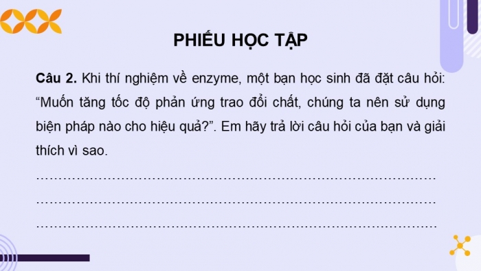 Giáo án điện tử chuyên đề Sinh học 10 chân trời Ôn tập CĐ 2