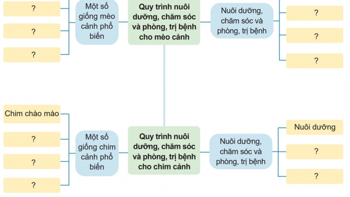 Giáo án điện tử chuyên đề Công nghệ chăn nuôi 11 cánh diều Ôn tập CĐ 2