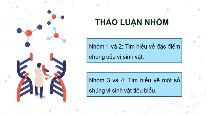 Giáo án điện tử chuyên đề Sinh học 10 chân trời Bài 10: Vai trò của vi sinh vật trong xử lí ô nhiễm môi trường