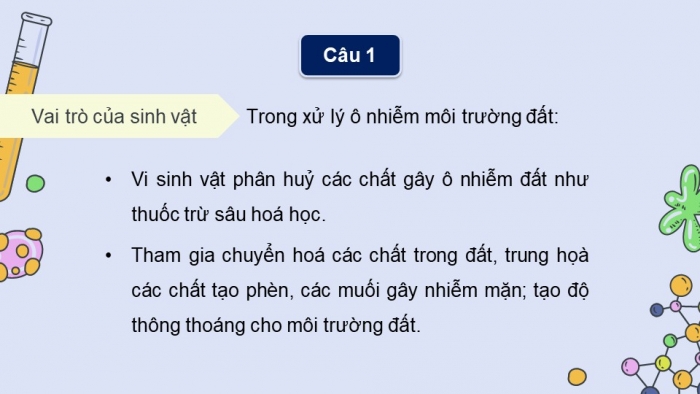 Giáo án điện tử chuyên đề Sinh học 10 chân trời Ôn tập CĐ 3