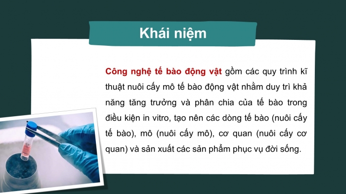 Giáo án điện tử chuyên đề Sinh học 10 cánh diều Bài 4: Cơ sở công nghệ tế bào động vật và ứng dụng