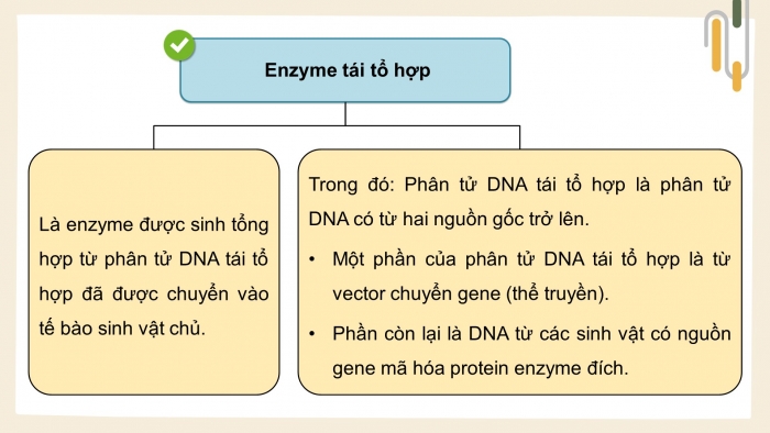 Giáo án điện tử chuyên đề Sinh học 10 cánh diều Bài 9: Sản xuất enzyme tái tổ hợp