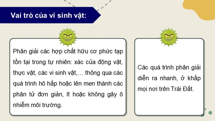 Giáo án điện tử chuyên đề Sinh học 10 cánh diều Bài 11: Khái quát về vi sinh vật trong xử lí ô nhiễm môi trường