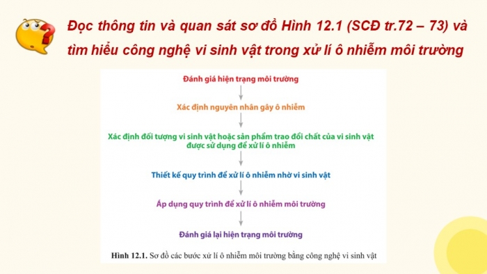 Giáo án điện tử chuyên đề Sinh học 10 cánh diều Bài 12: Công nghệ ứng dụng vi sinh vật trong xử lí ô nhiễm môi trường đất, nước