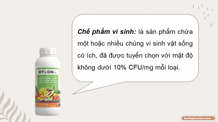 Giáo án điện tử chuyên đề Công nghệ trồng trọt 10 cánh diều Bài 4: Ứng dụng công nghệ sinh học trong sản xuất chế phẩm sinh học