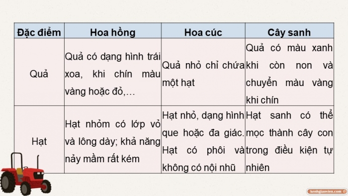 Giáo án điện tử chuyên đề Công nghệ trồng trọt 10 cánh diều Ôn tập CĐ 2