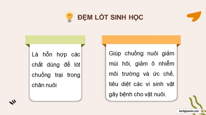 Giáo án điện tử chuyên đề Công nghệ chăn nuôi 11 kết nối Bài 5: Ứng dụng công nghệ sinh học trong sản xuất đệm lót sinh học