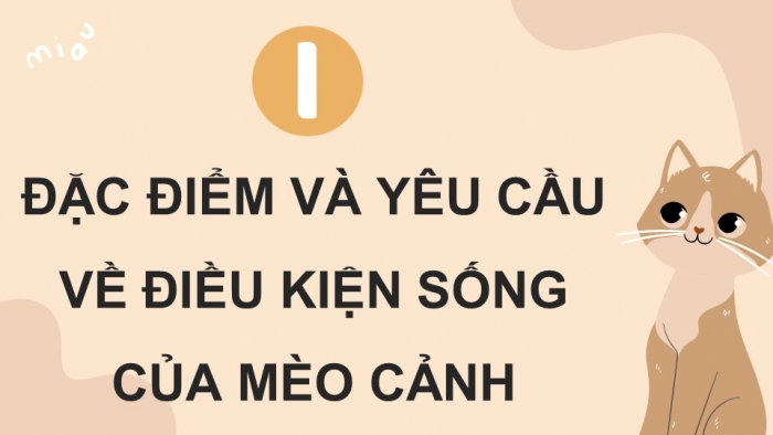 Giáo án điện tử chuyên đề Công nghệ chăn nuôi 11 kết nối Bài 8: Kĩ thuật nuôi dưỡng và chăm sóc mèo cảnh