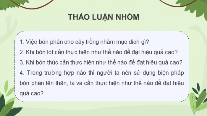 Giáo án điện tử chuyên đề Sinh học 11 chân trời Bài 2: Biện pháp kĩ thuật sử dụng dinh dưỡng khoáng để tăng năng suất cây trồng và tạo nền nông nghiệp sạch