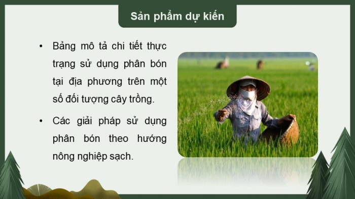 Giáo án điện tử chuyên đề Sinh học 11 chân trời Bài 5: Dự án Điều tra sử dụng phân bón ở địa phương hoặc thực hành Trồng cây với các kĩ thuật bón phân phù hợp