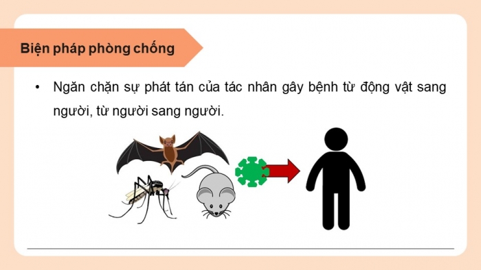 Giáo án điện tử chuyên đề Sinh học 11 chân trời Bài 8: Các biện pháp phòng chống bệnh dịch ở người