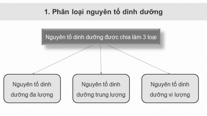 Giáo án điện tử chuyên đề Hoá học 11 cánh diều Bài 2: Phân bón vô cơ