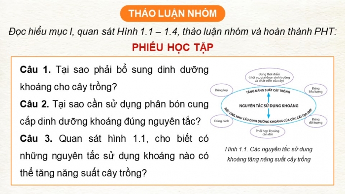 Giáo án điện tử chuyên đề Sinh học 11 cánh diều Bài 1: Nguyên tắc sử dụng khoáng tăng năng suất cây trồng