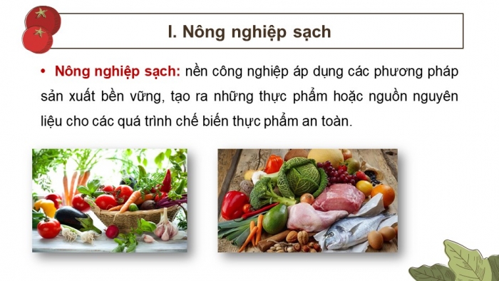 Giáo án điện tử chuyên đề Sinh học 11 cánh diều Bài 2: Nông nghiệp sạch