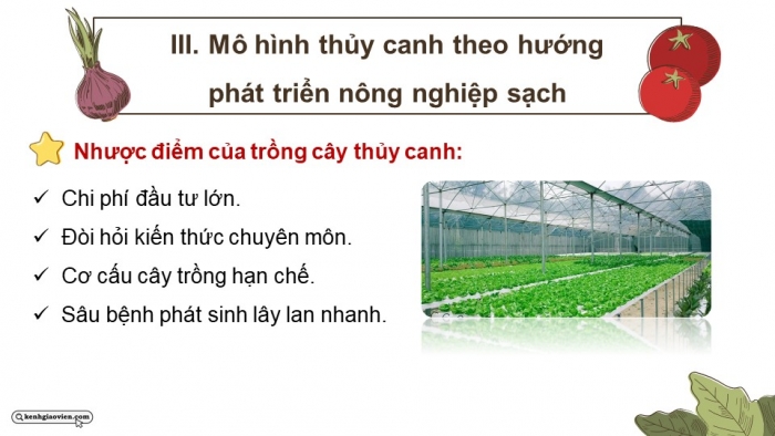 Giáo án điện tử chuyên đề Sinh học 11 cánh diều Bài 2: Nông nghiệp sạch (P2)