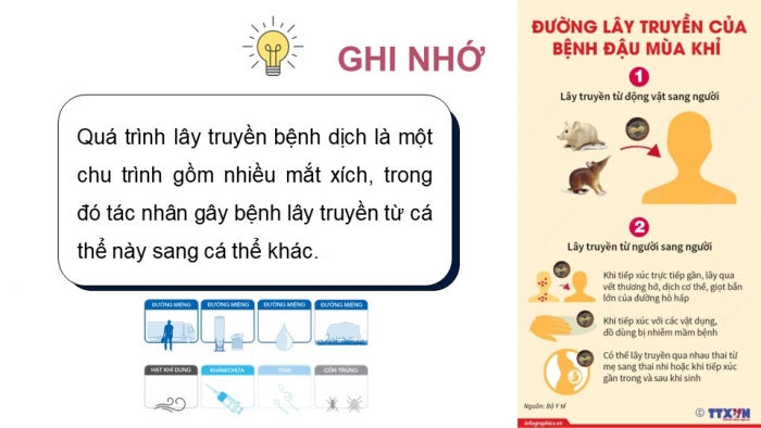 Giáo án điện tử chuyên đề Sinh học 11 cánh diều Bài 6: Các biện pháp phòng chống bệnh dịch ở người