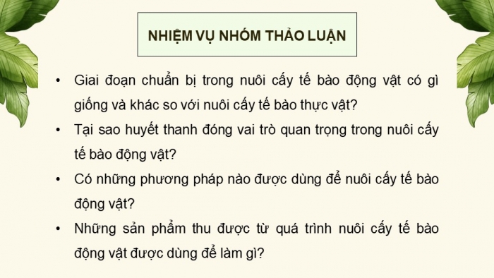 Giáo án điện tử chuyên đề Sinh học 10 chân trời Bài 3: Công nghệ tế bào động vật và thành tựu