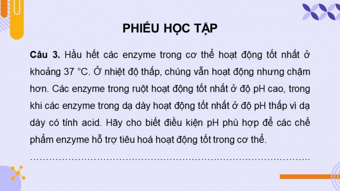 Giáo án điện tử chuyên đề Sinh học 10 chân trời Ôn tập CĐ 2