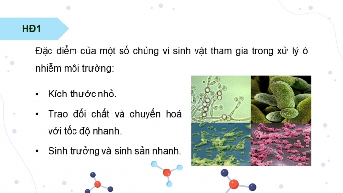 Giáo án điện tử chuyên đề Sinh học 10 chân trời Bài 10: Vai trò của vi sinh vật trong xử lí ô nhiễm môi trường